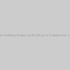 Image of Custom Antibody titration by ELISA up to 2 rabbits and 1 bleed
